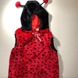 Ladybug Costume, Little Kid Large, EUC